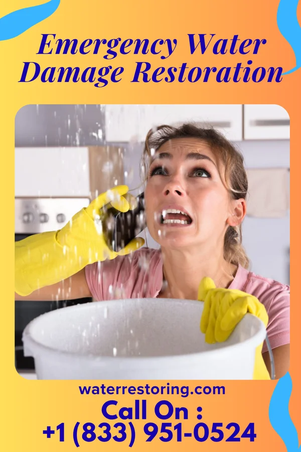 Emergency Water Damage Restoration in Trimble, MO