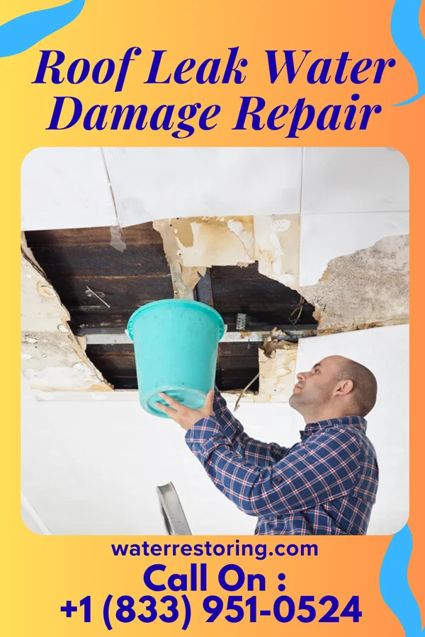 Roof Leak Water Damage Repair in Trimble, MO