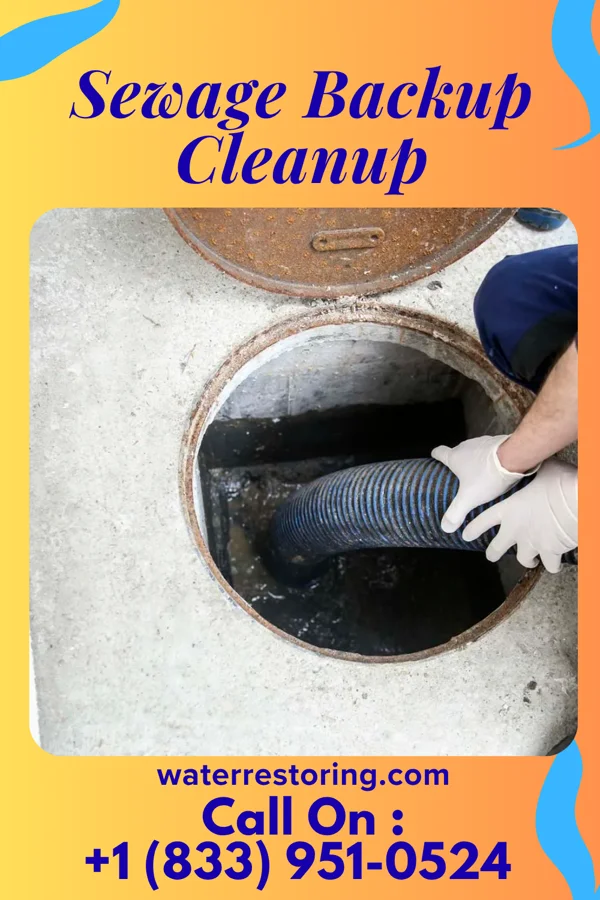 Sewage Backup Cleanup in Trimble, MO