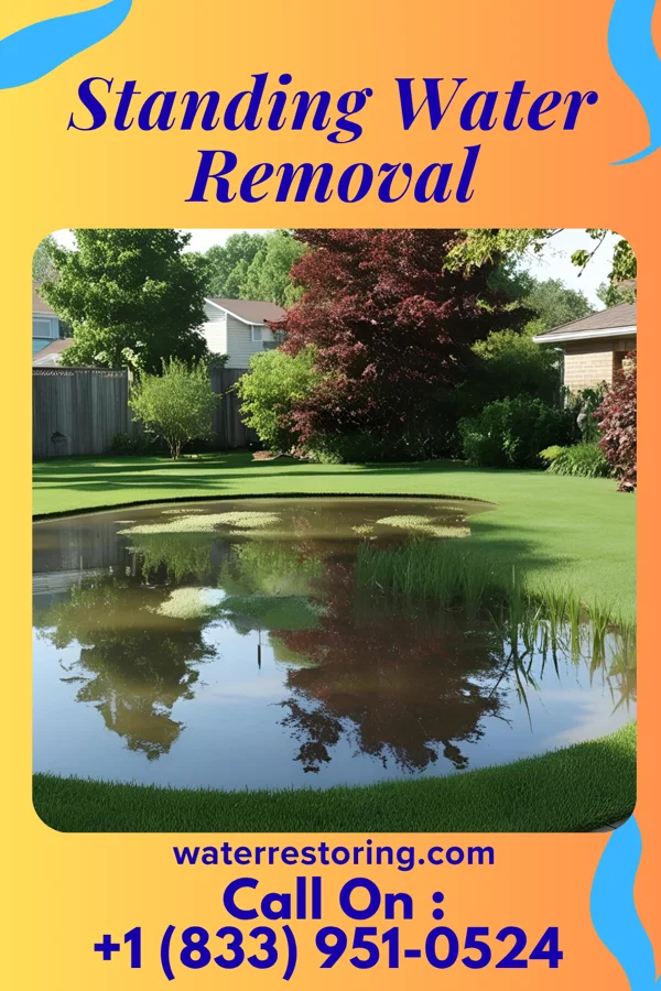 Standing Water Removal in Trimble, MO